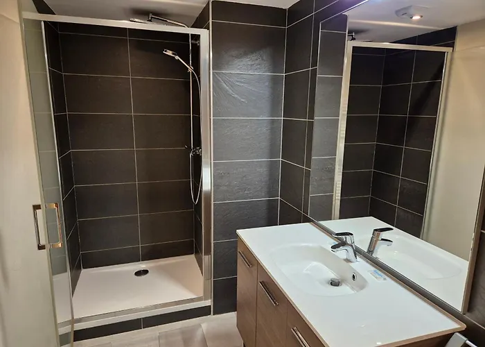 Lumineux Proche Pistes, Animaux Admis - Fr-1-811-14 Les Deux Alpes